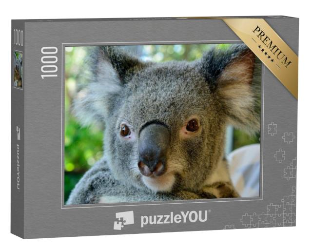 Puzzel 1000 stukjes „Prachtig portret van een koala“