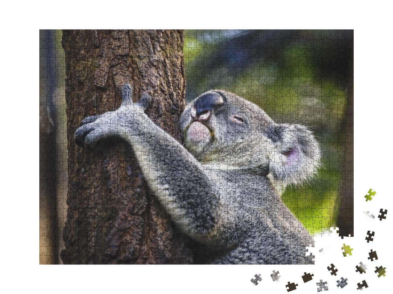 Puzzle 1000 Teile „Müder Koala am Baum“