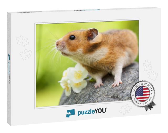 Cute Hamster Syrian Hamster on a Stone... Jigsaw Puzzle