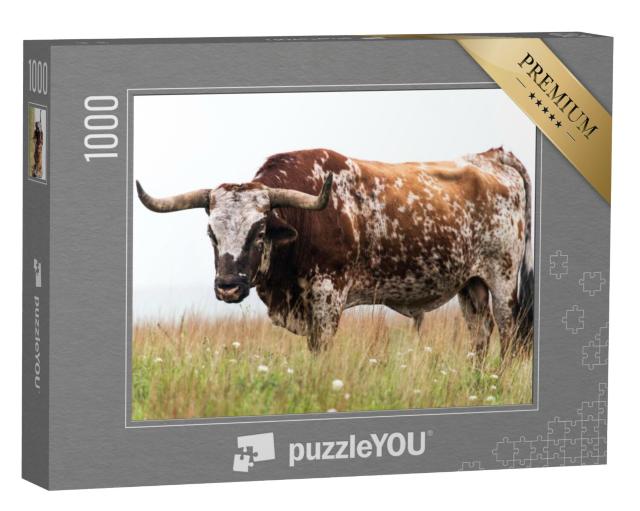 Puzzel 1000 stukjes „Texaanse boktorstier in het Wichita Mountains National Wildlife Refuge, Oklahoma“