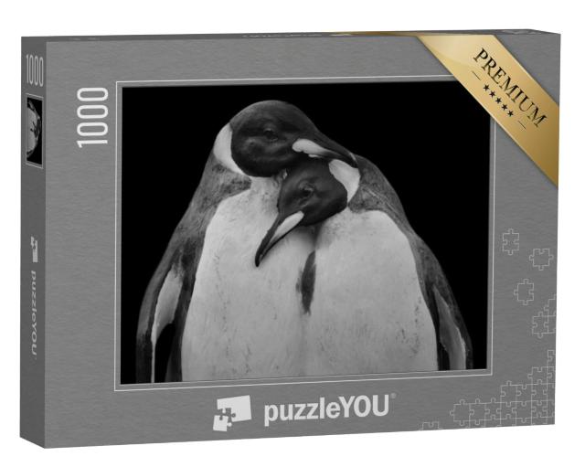 Puzzel 1000 stukjes „Pinguïnpaar in een intieme omhelzing“