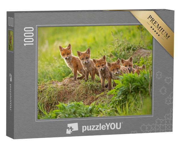 Puzzel 1000 stukjes „Nieuwsgierige kleine rode vossen verkennen de wereld“