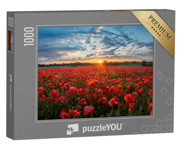 Puzzel 1000 stukjes „Rood klaprozenveld“