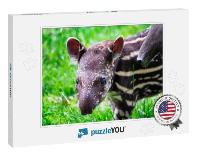 Nine Days Old Baby of the Endangered South American Tapir... Jigsaw Puzzle