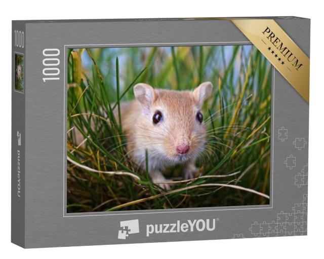 Puzzel 1000 stukjes „Kleine gerbil in het gras“