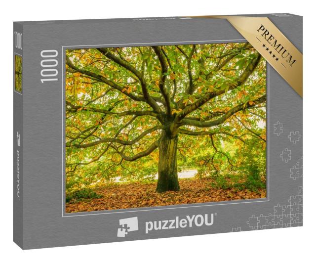 Puzzle 1000 Teile „Uralter Baum im Herbst“