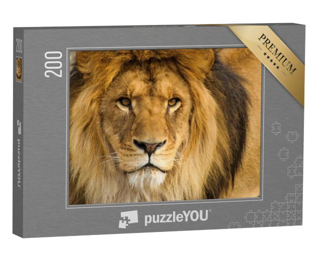 Puzzel 200 stukjes „Portret van een leeuw“