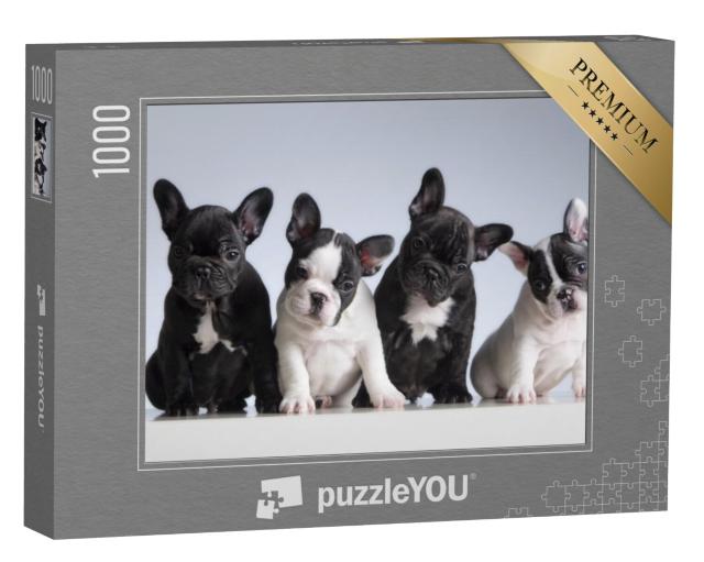 Puzzel 1000 stukjes „Vier Franse Bulldogs“