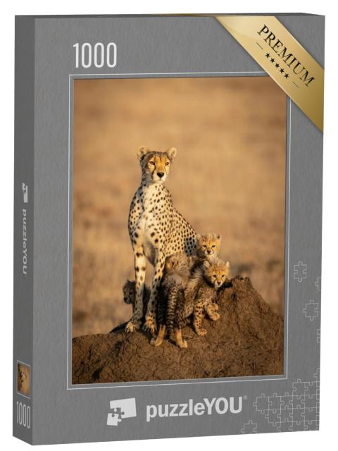 Puzzel 1000 stukjes „Vrouwelijke cheeta en haar vier kleine cheeta welpjes“