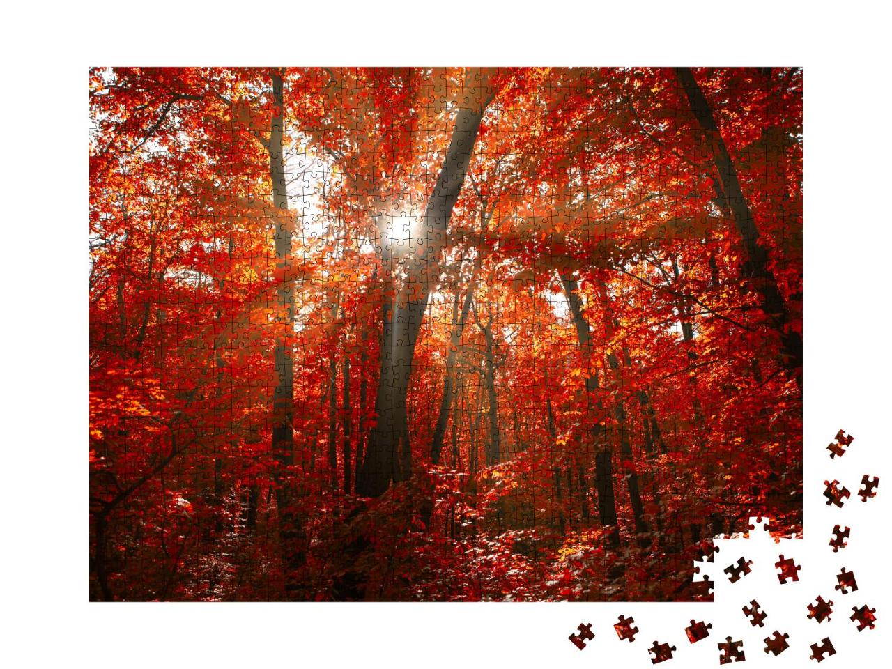 Puzzle 1000 Teile „Roter Herbstwald mit Sonnenlicht, spektakuläres Waldgebiet in der Herbstsaison“