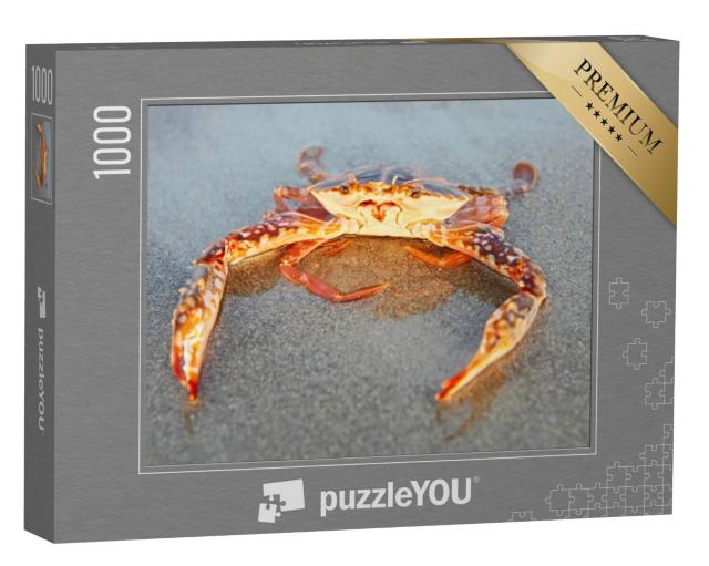 Puzzel 1000 stukjes „Rode krab op het strand in Goa, India“