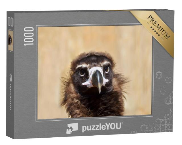 Puzzel 1000 stukjes „Portret van een zwarte gier“