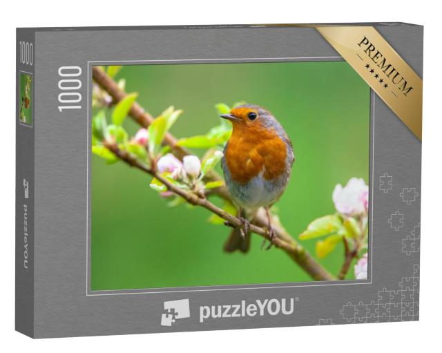 Puzzel 1000 stukjes „Een roodborstje tussen witte fruitbloesems“