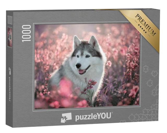 Puzzel 1000 stukjes „Prachtige husky op een bloeiend veld“