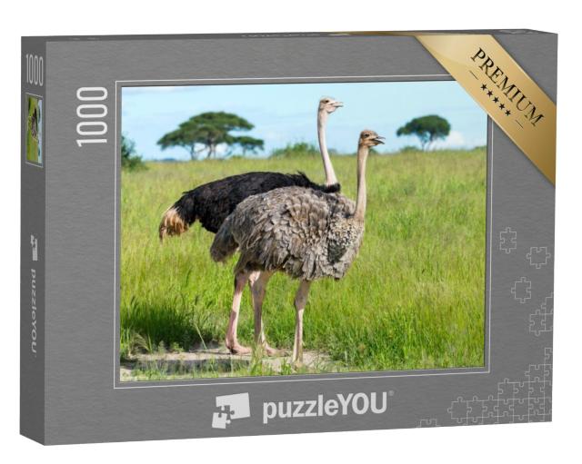 Puzzel 1000 stukjes „Struisvogelpaar in Tanzania, Afrika“