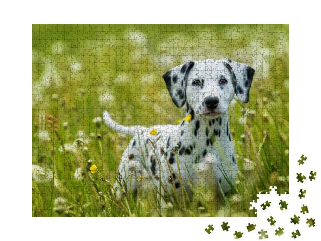 Puzzle 1000 Teile „Dalmatinerwelpe auf einer Löwenzahnwiese“