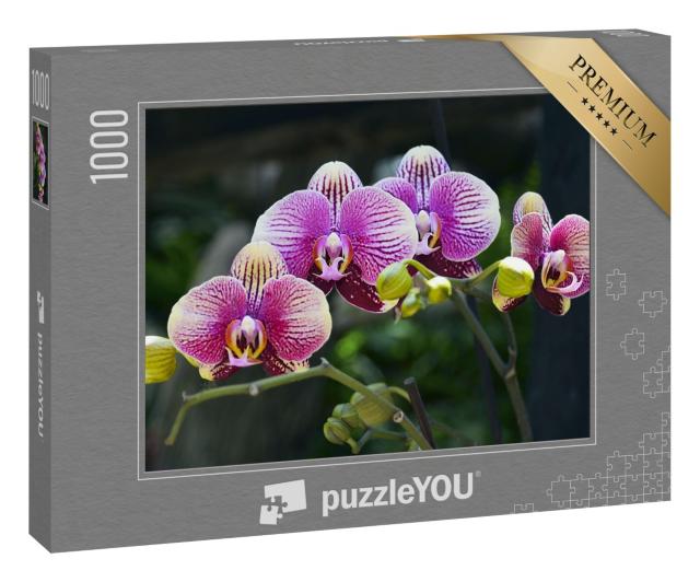 Puzzle „Orchideenblüte im tropischen Garten“