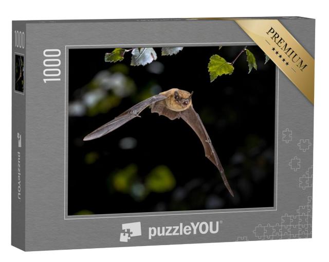 Puzzel 1000 stukjes „Vliegende Pipistrelle vleermuis“