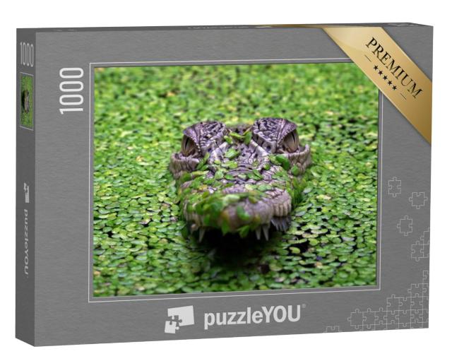 Puzzel 1000 stukjes „De zoutwaterkrokodil, Crocodylus porosus“