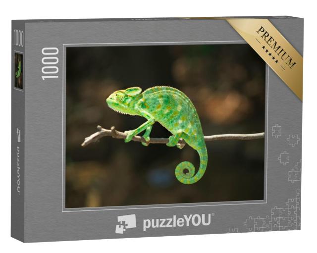 Puzzel 1000 stukjes „Zuid-Aziatische kameleon, Chamaeleo zeylanicus“