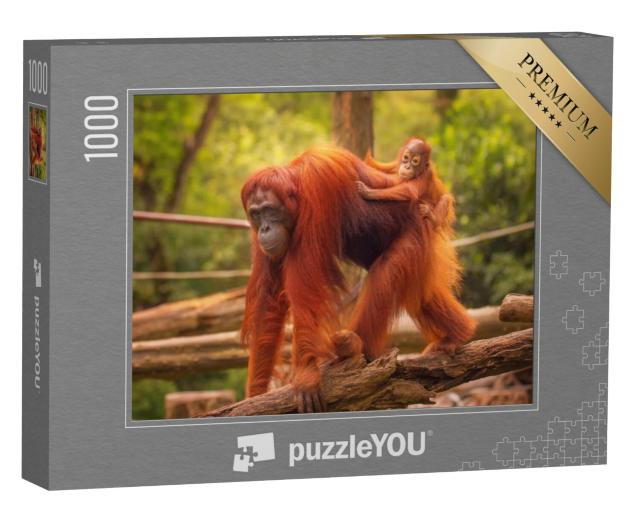 Puzzel 1000 stukjes „Orang-oetan welp op de rug van zijn moeder“