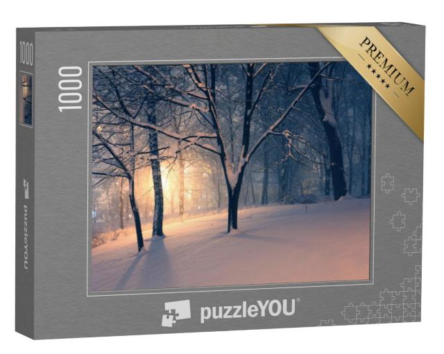 Puzzel 1000 stukjes „Winteravond in het park“