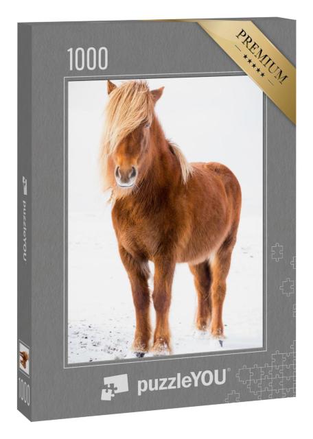 Puzzle 1000 Teile „Island-Pferd im Schnee “