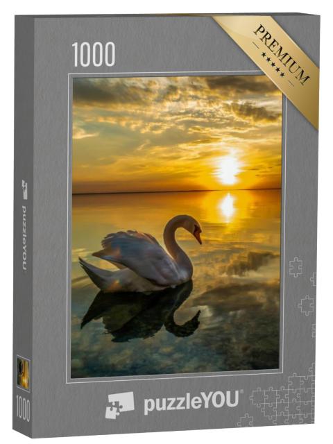 Puzzel 1000 stukjes „Witte zwaan in kalm water bij zonsondergang“