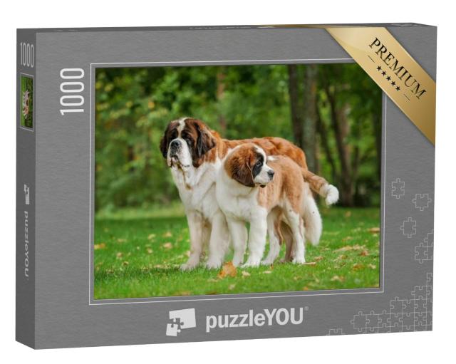 Puzzel 1000 stukjes „Twee Sint Bernards op het gazon“