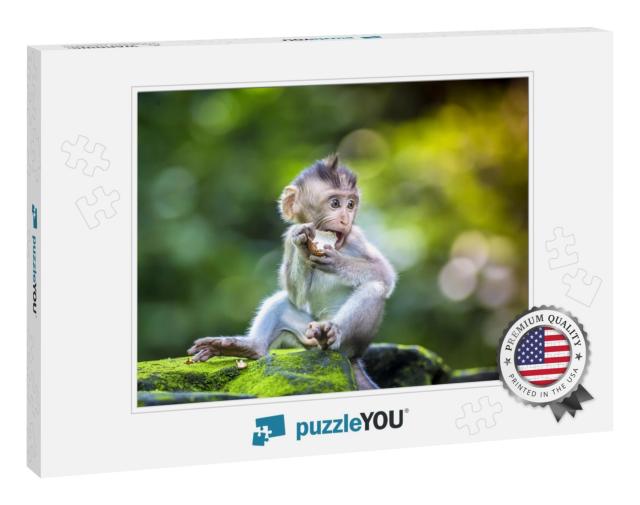 Little Baby-Monkey in Monkey Forest of Ubud, Bali, Indone... Jigsaw Puzzle