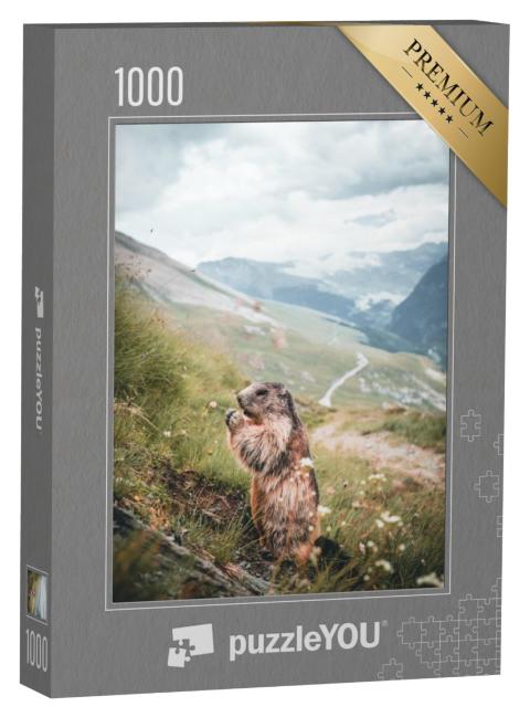 Puzzel 1000 stukjes „Alpenmarmot op een berghelling in Oostenrijk“