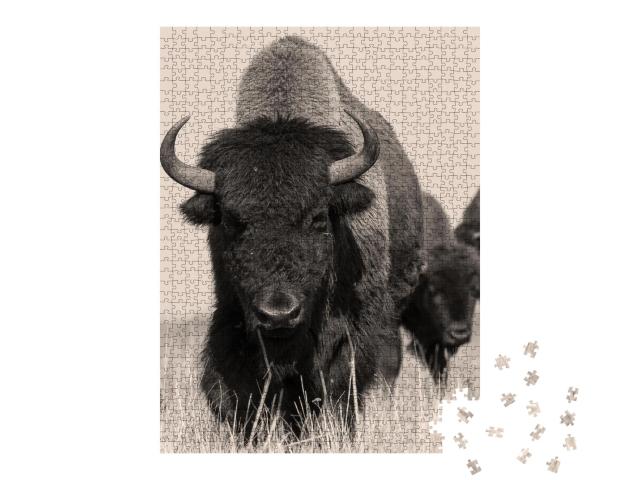 Puzzle 1000 Teile „Amerikanischer Bison oder Büffel, Sepia-Aufnahme“