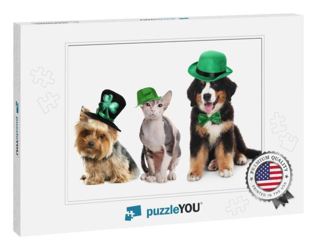 Cute Pets with Leprechaun Hats on White Background... Jigsaw Puzzle