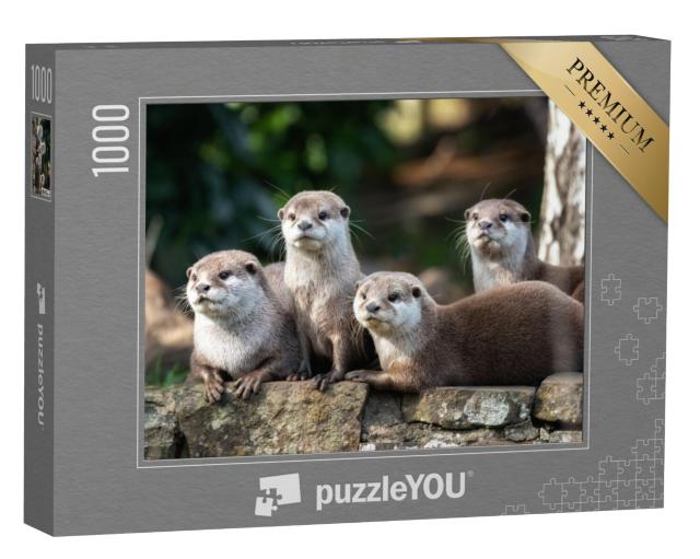 Puzzel 1000 stukjes „Groep van vier aandachtige Oosterse kleine otters“