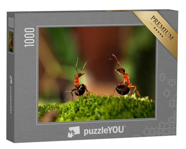 Puzzel 1000 stukjes „De strijd van twee mieren“