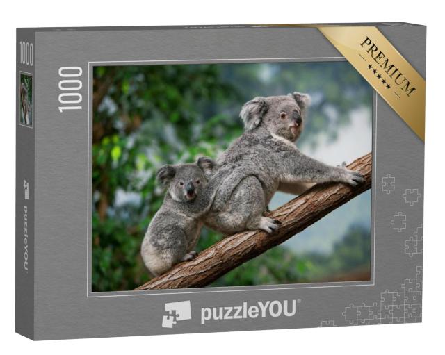 Puzzel 1000 stukjes „Vrouwelijke koala met welp“