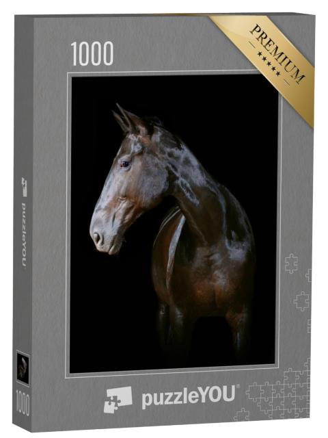 Puzzel 1000 stukjes „Donker paard“