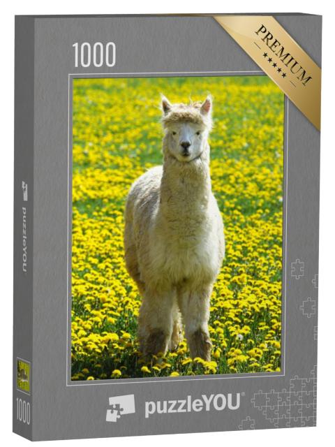 Puzzel 1000 stukjes „Een alpaca in een zomerweide met gele bloemen“