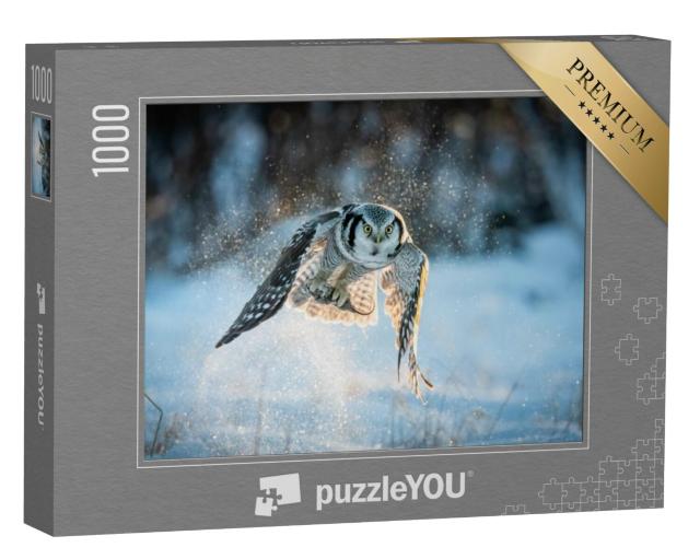 Puzzel 1000 stukjes „Oeraluil, Surnia ulula, die muizen vangt“