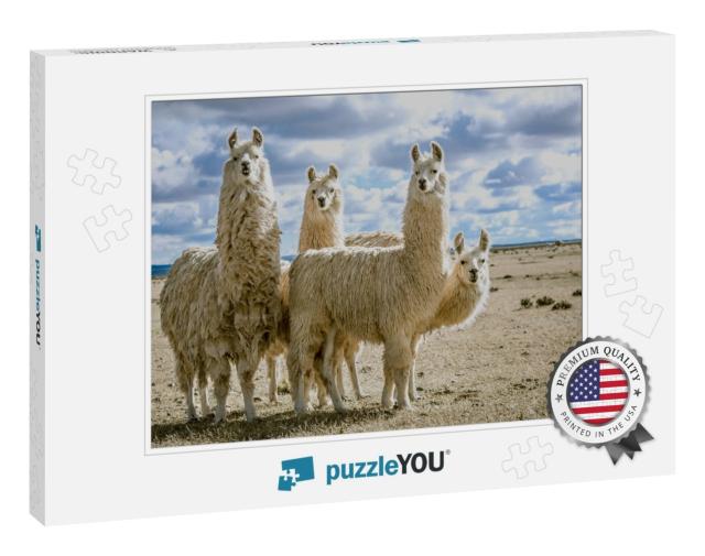 Llamas Group in Their Natural Habitat... Jigsaw Puzzle
