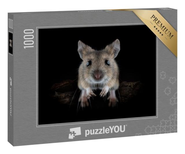 Puzzle 1000 Teile „Mausi springt“