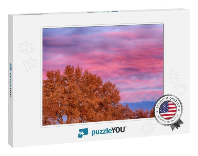 Colorful Cloudy Autumn Sunset with Orange Tree Leaves & D... Jigsaw Puzzle