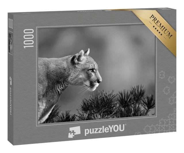 Puzzle „Seitenportrait eines Pumas “