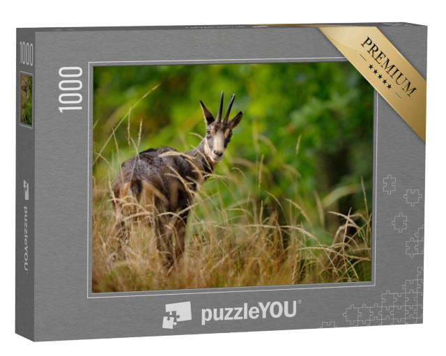 Puzzel 1000 stukjes „Gemzen in het landschap van de heuvels van Studenec, Tsjechië“