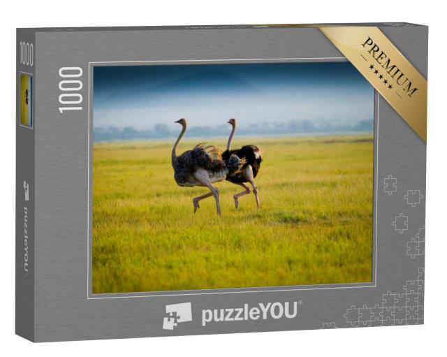 Puzzel 1000 stukjes „Twee Afrikaanse struisvogels in het gras“