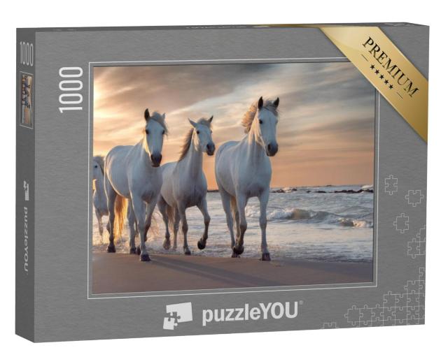 Puzzel 1000 stukjes „De witte paarden van de Camargue, Frankrijk“