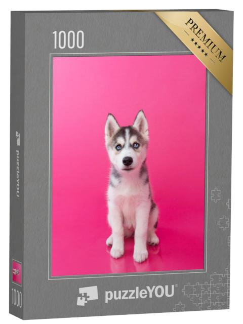 Puzzel 1000 stukjes „Husky puppy voor een roze achtergrond“