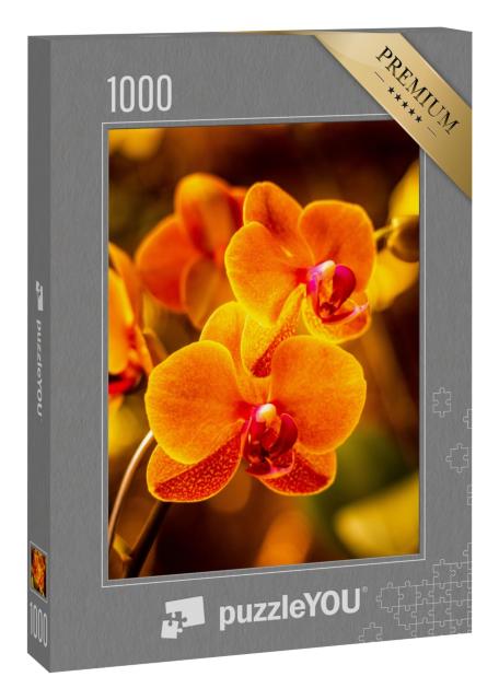 Puzzle 1000 Teile „Leuchtende Orchideenblüte in Orange“