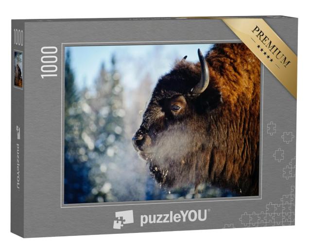 Puzzel 1000 stukjes „Bizons in het wild“