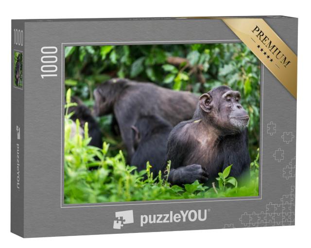 Puzzel 1000 stukjes „Chimpanseegroep en volwassen aap“